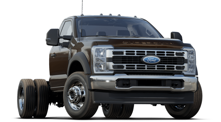 2024 Ford Super Duty F-600 DRW Vehicle Photo in Weatherford, TX 76087-8771